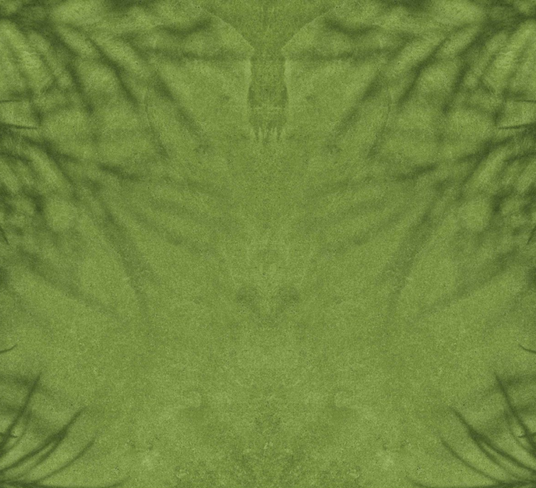 couleur verte